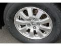 Sterling Gray Metallic - Odyssey EX-L Photo No. 20