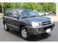 Pewter Gray - Santa Fe GLS 4WD Photo No. 16