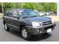 2005 Pewter Gray Hyundai Santa Fe GLS 4WD  photo #16