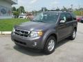 2012 Sterling Gray Metallic Ford Escape XLT  photo #2