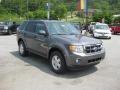 2012 Sterling Gray Metallic Ford Escape XLT  photo #4