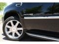 Black Raven - Escalade Luxury Photo No. 16