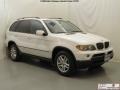 Alpine White - X5 3.0i Photo No. 3