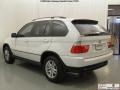 Alpine White - X5 3.0i Photo No. 21