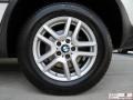 Alpine White - X5 3.0i Photo No. 31