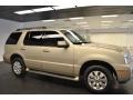 2007 Light French Silk Metallic Mercury Mountaineer   photo #6