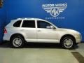 2009 Crystal Silver Metallic Porsche Cayenne S  photo #10