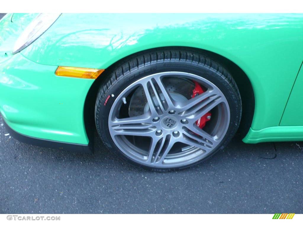 2009 911 Turbo Coupe - Green Paint to Sample / Black photo #11