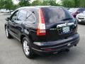 2010 Crystal Black Pearl Honda CR-V EX-L AWD  photo #6