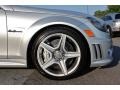 2009 Mercedes-Benz C 63 AMG Wheel and Tire Photo