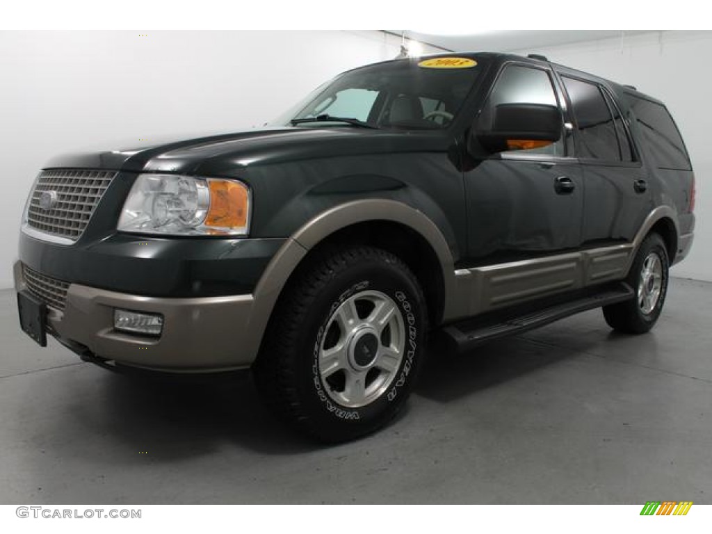 2003 Expedition Eddie Bauer 4x4 - Aspen Green Metallic / Medium Parchment photo #1
