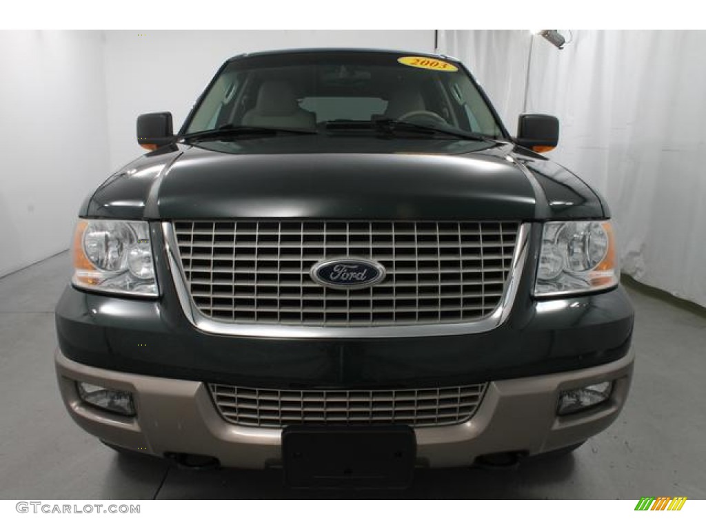 2003 Expedition Eddie Bauer 4x4 - Aspen Green Metallic / Medium Parchment photo #2