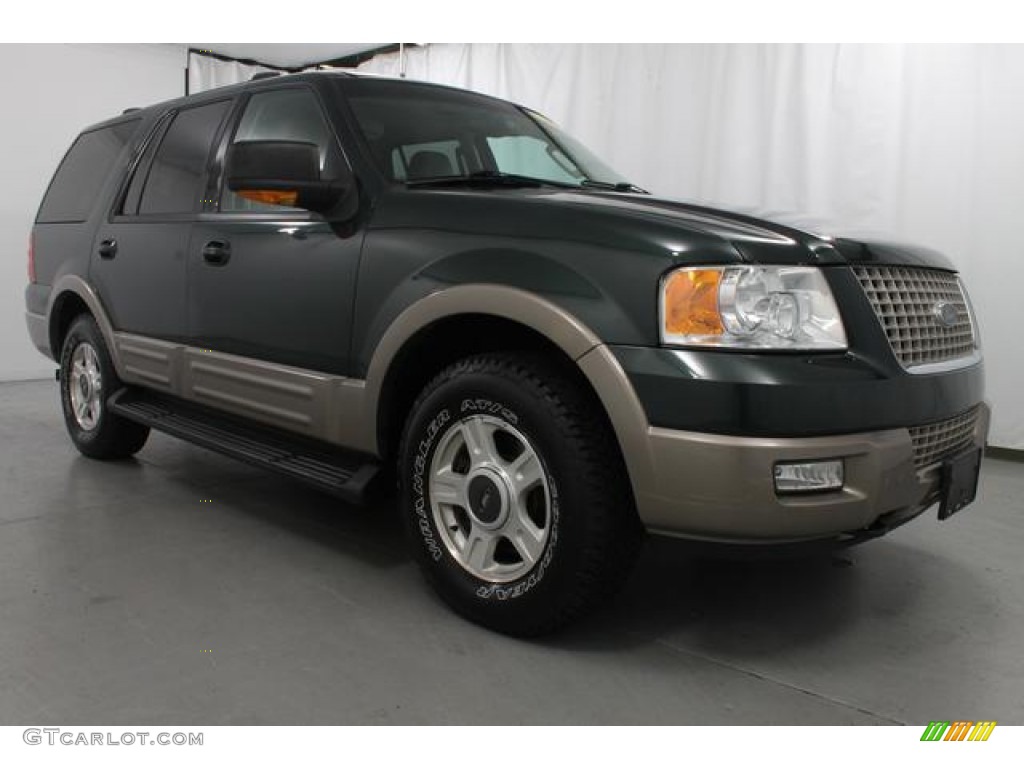 2003 Expedition Eddie Bauer 4x4 - Aspen Green Metallic / Medium Parchment photo #3