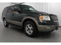 2003 Aspen Green Metallic Ford Expedition Eddie Bauer 4x4  photo #3