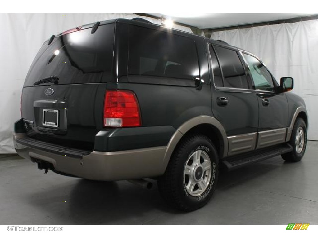 2003 Expedition Eddie Bauer 4x4 - Aspen Green Metallic / Medium Parchment photo #4