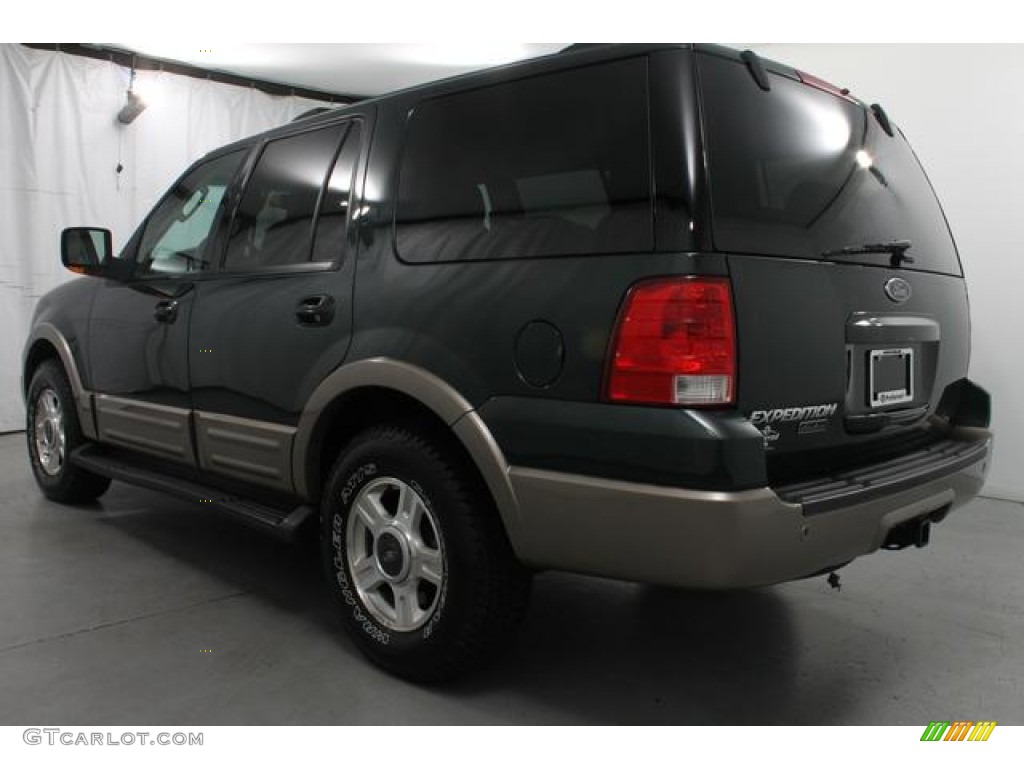 2003 Expedition Eddie Bauer 4x4 - Aspen Green Metallic / Medium Parchment photo #6