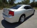 Bright Silver Metallic - Charger SXT Photo No. 8