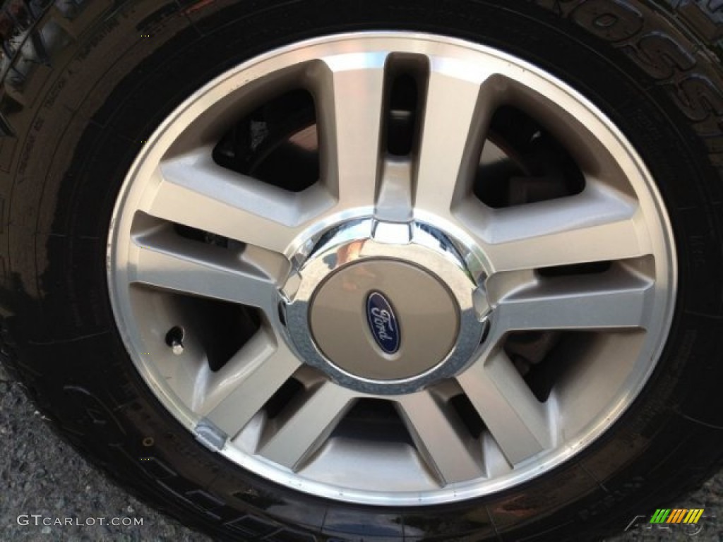 2005 F150 Lariat SuperCrew - Dark Stone Metallic / Tan photo #9