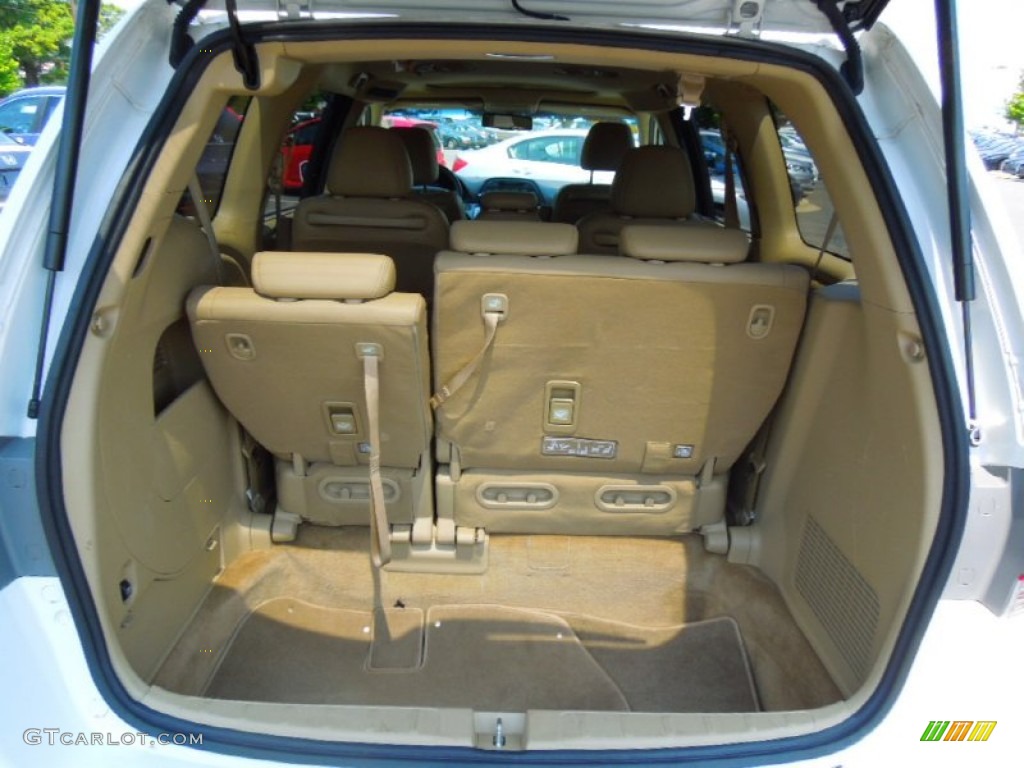 2010 Honda Odyssey EX-L Trunk Photo #65759068