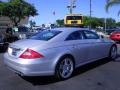 Iridium Silver Metallic - CLS 500 Photo No. 11