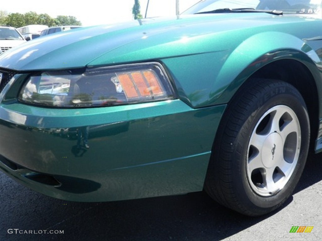 2000 Mustang V6 Coupe - Amazon Green Metallic / Medium Parchment photo #4