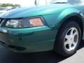 2000 Amazon Green Metallic Ford Mustang V6 Coupe  photo #4