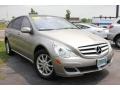 Pewter Metallic - R 350 4Matic Photo No. 12