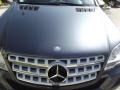 Steel Grey Metallic - ML 350 Photo No. 12