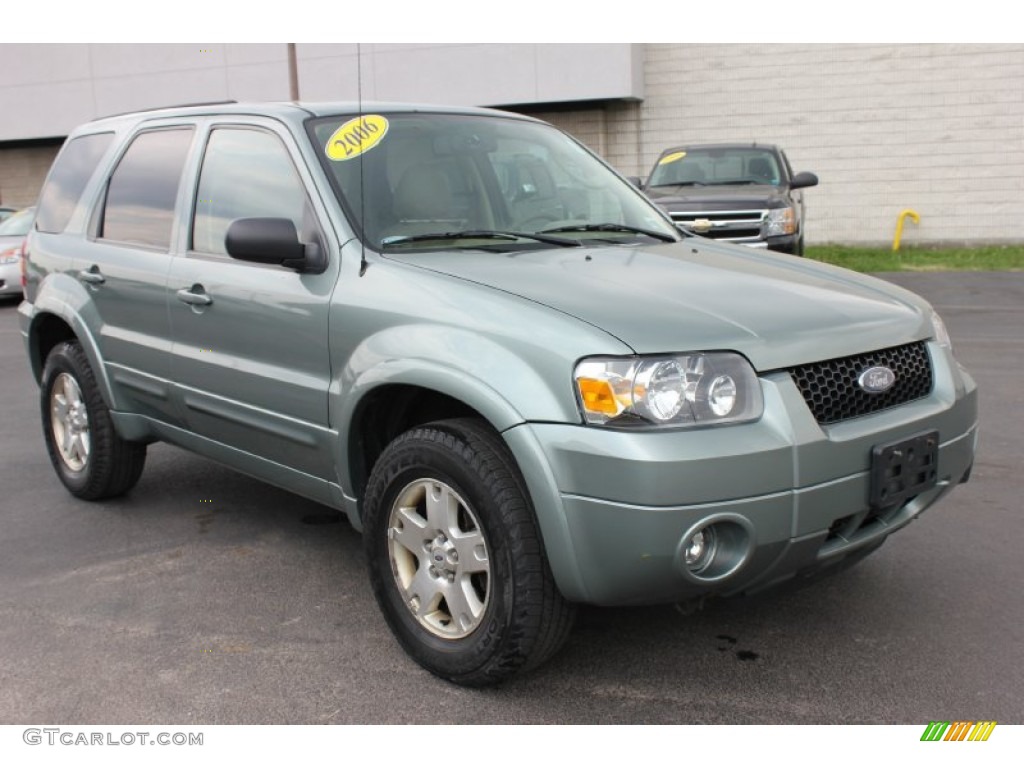 2006 Escape Limited 4WD - Titanium Green Metallic / Medium/Dark Pebble photo #18
