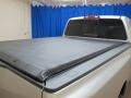 Radiant Silver - Titan SE King Cab 4x4 Photo No. 11