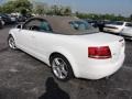 2008 Ibis White Audi A4 2.0T quattro Cabriolet  photo #39