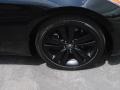 Bathurst Black - Genesis Coupe 2.0T Photo No. 2