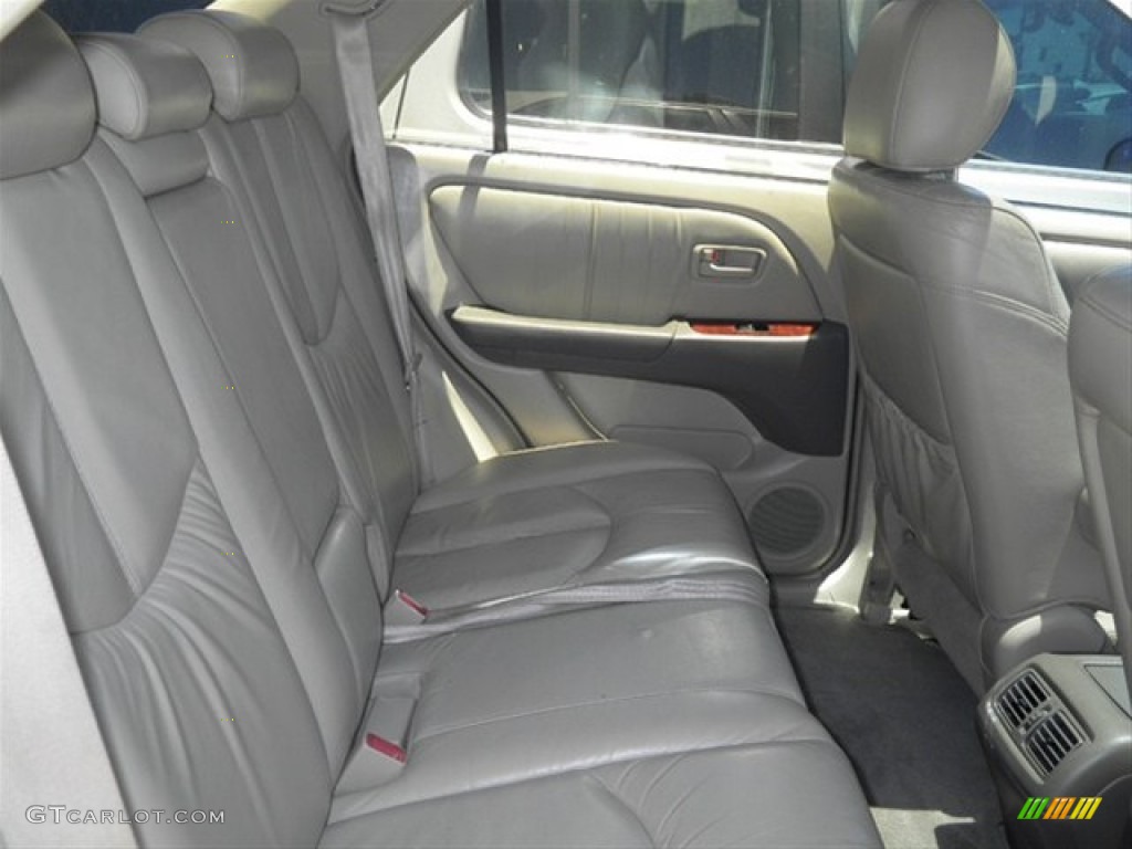 1999 RX 300 AWD - Golden White Pearl / Gray photo #16