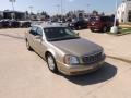 Light Cashmere - DeVille Sedan Photo No. 7