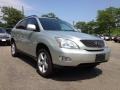 Millennium Silver Metallic - RX 350 AWD Photo No. 7