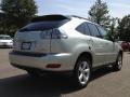 Millennium Silver Metallic - RX 350 AWD Photo No. 9