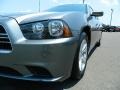 Tungsten Metallic - Charger Rallye Plus Photo No. 11