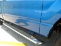 2009 Blue Flame Metallic Ford F150 STX Regular Cab  photo #17