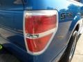 2009 Blue Flame Metallic Ford F150 STX Regular Cab  photo #20