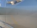 2007 Desert Mist Metallic Honda Accord EX-L Sedan  photo #14