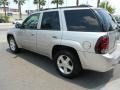 Silverstone Metallic - TrailBlazer LT Photo No. 5