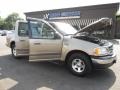 2003 Arizona Beige Metallic Ford F150 XLT SuperCrew  photo #19