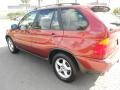 Sienna Red Metallic - X5 3.0i Photo No. 4