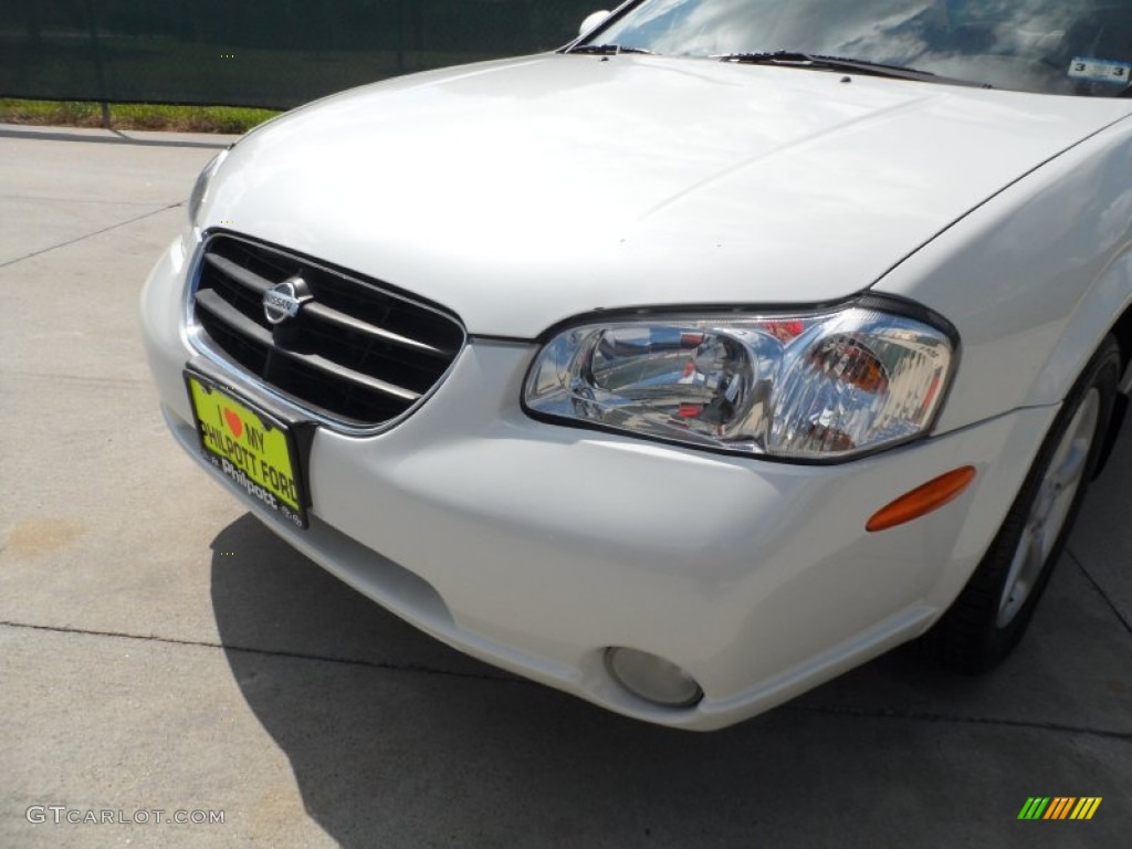 2000 Maxima GLE - Icelandic Pearl / Blond photo #11