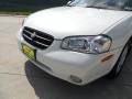 Icelandic Pearl - Maxima GLE Photo No. 11