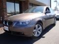 2006 Amethyst Grey Metallic BMW 5 Series 530xi Sedan  photo #1