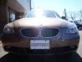 2006 Amethyst Grey Metallic BMW 5 Series 530xi Sedan  photo #2