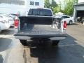 Radiant Silver - Titan S King Cab 4x4 Photo No. 5