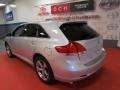 Classic Silver Metallic - Venza V6 AWD Photo No. 6