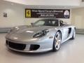 GT Silver Metallic - Carrera GT  Photo No. 4